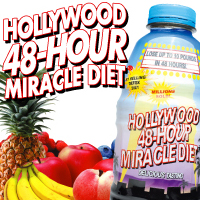 ハリウッド48時間ミラクルダイエット - サムネイル画像