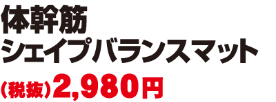 体幹筋シェイプバランスマッチE2,980冁E税抜)